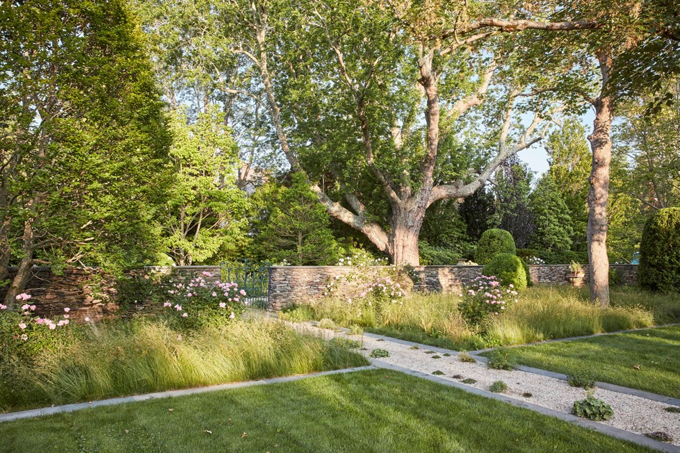 P664 Ngoc Minh Ngo N3 Medium