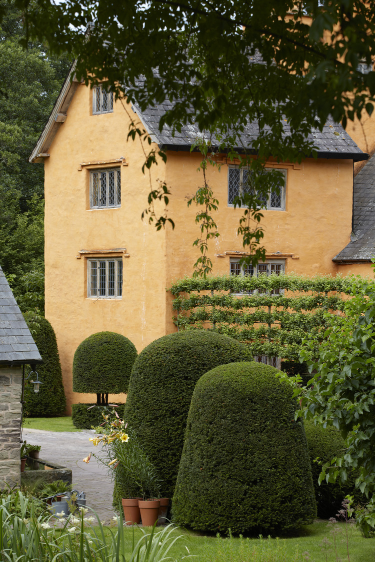 P510 July 2020 N464 Medium