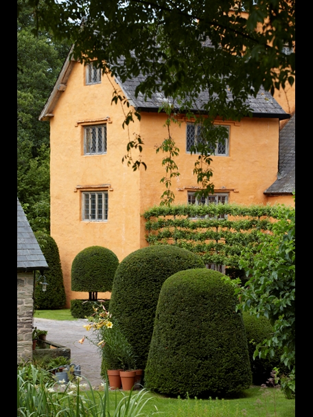 P510 July 2020 N464 Medium