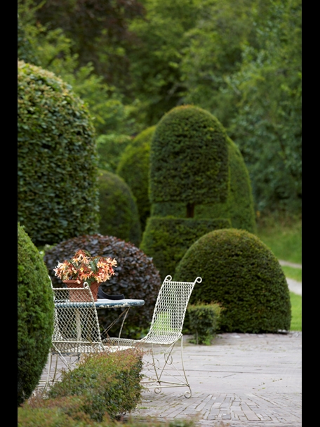 P510 July 2020 N427 Medium