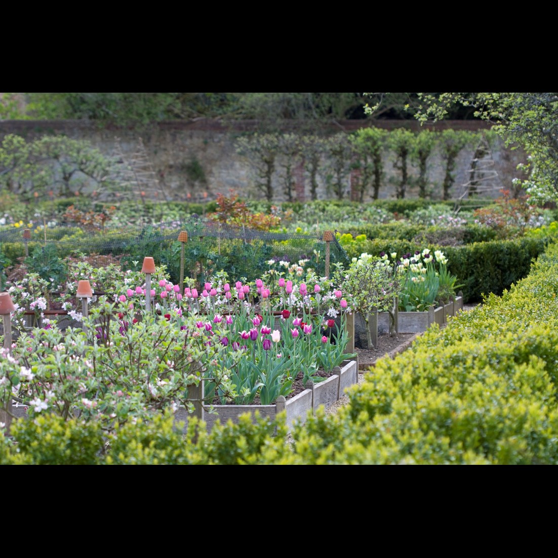 Arne Maynard — image 3