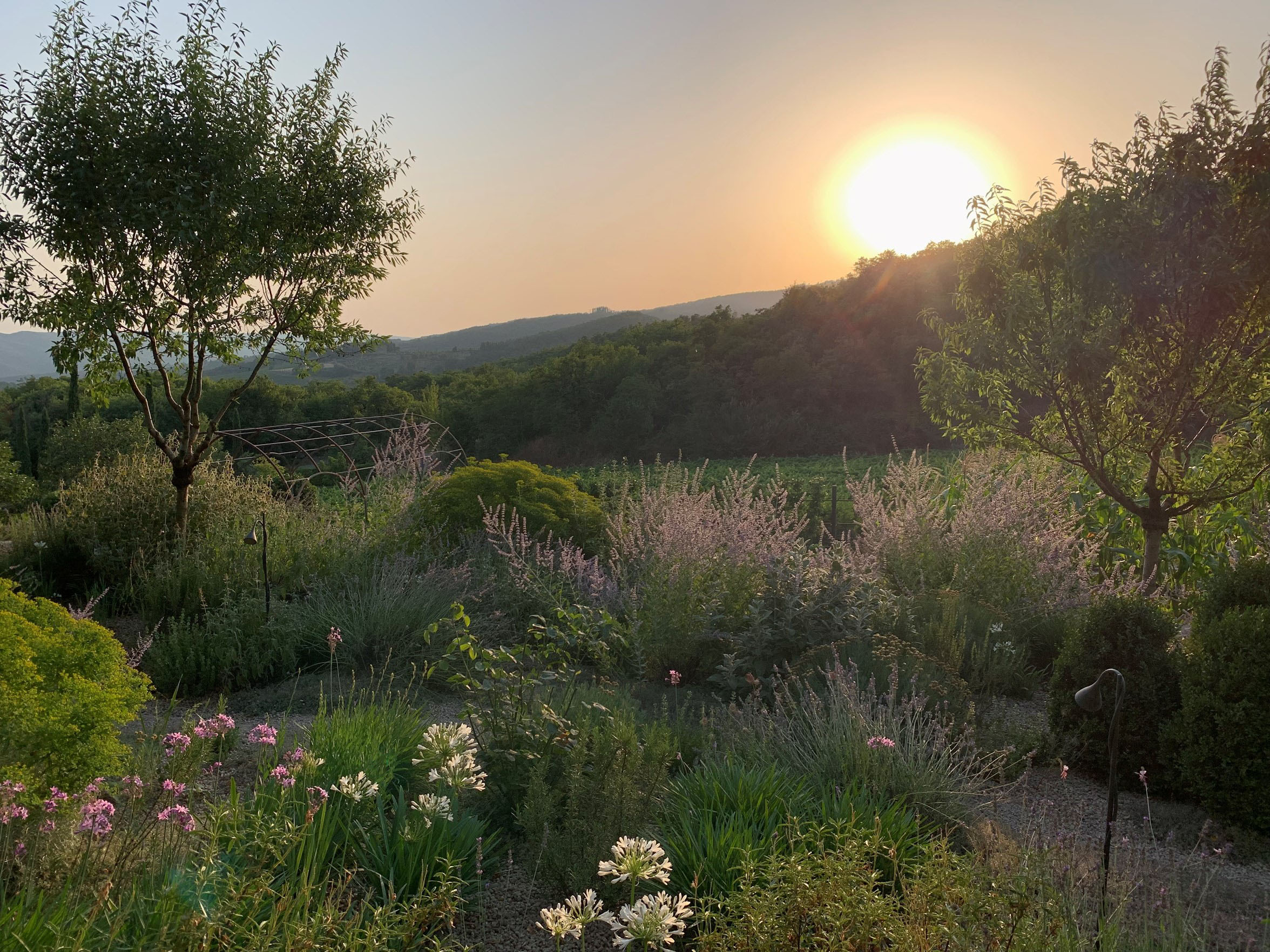 38580F33 Ea32 445D Aa62 53F4e72c82bb 1