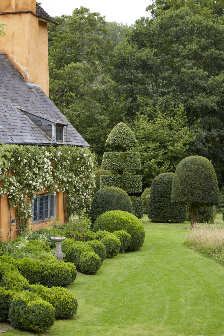 P510 July 2020 N370 Medium