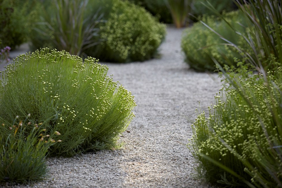 IMG 3251Photography By Britt Willoughby Dyer ©