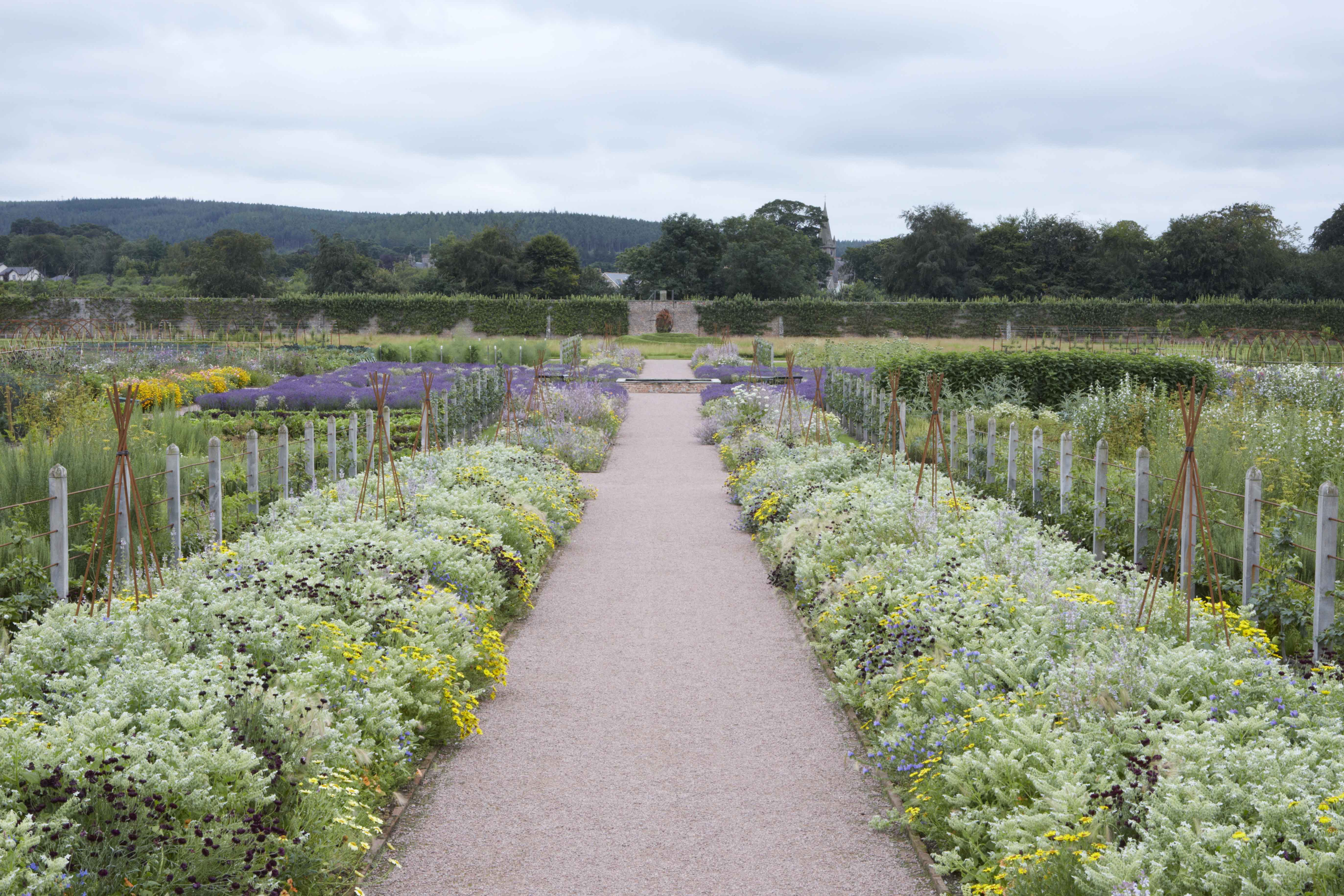 Img 1037 Photography By Britt Willoughby Dyer 1