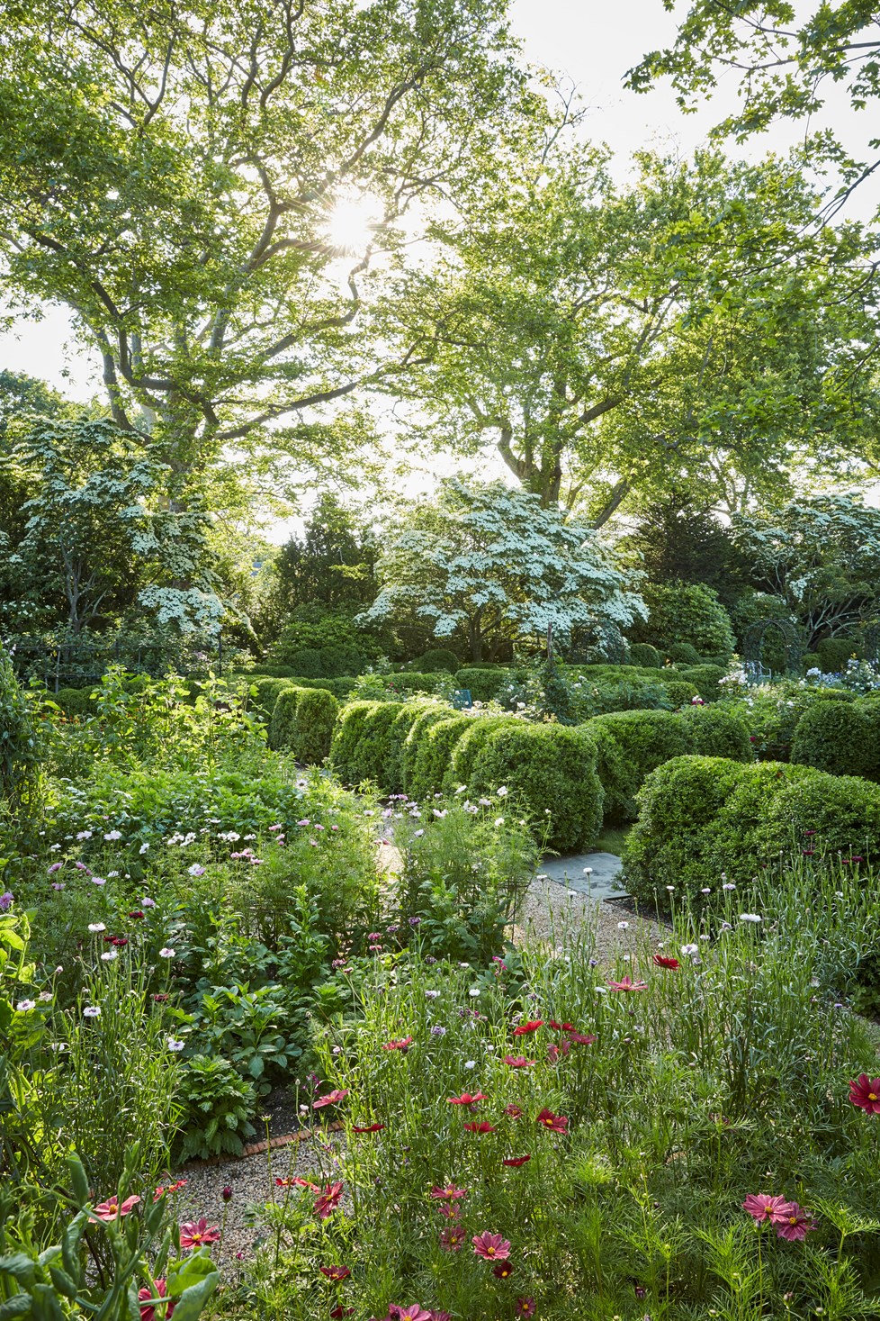 P664 Ngoc Minh Ngo N26 Print