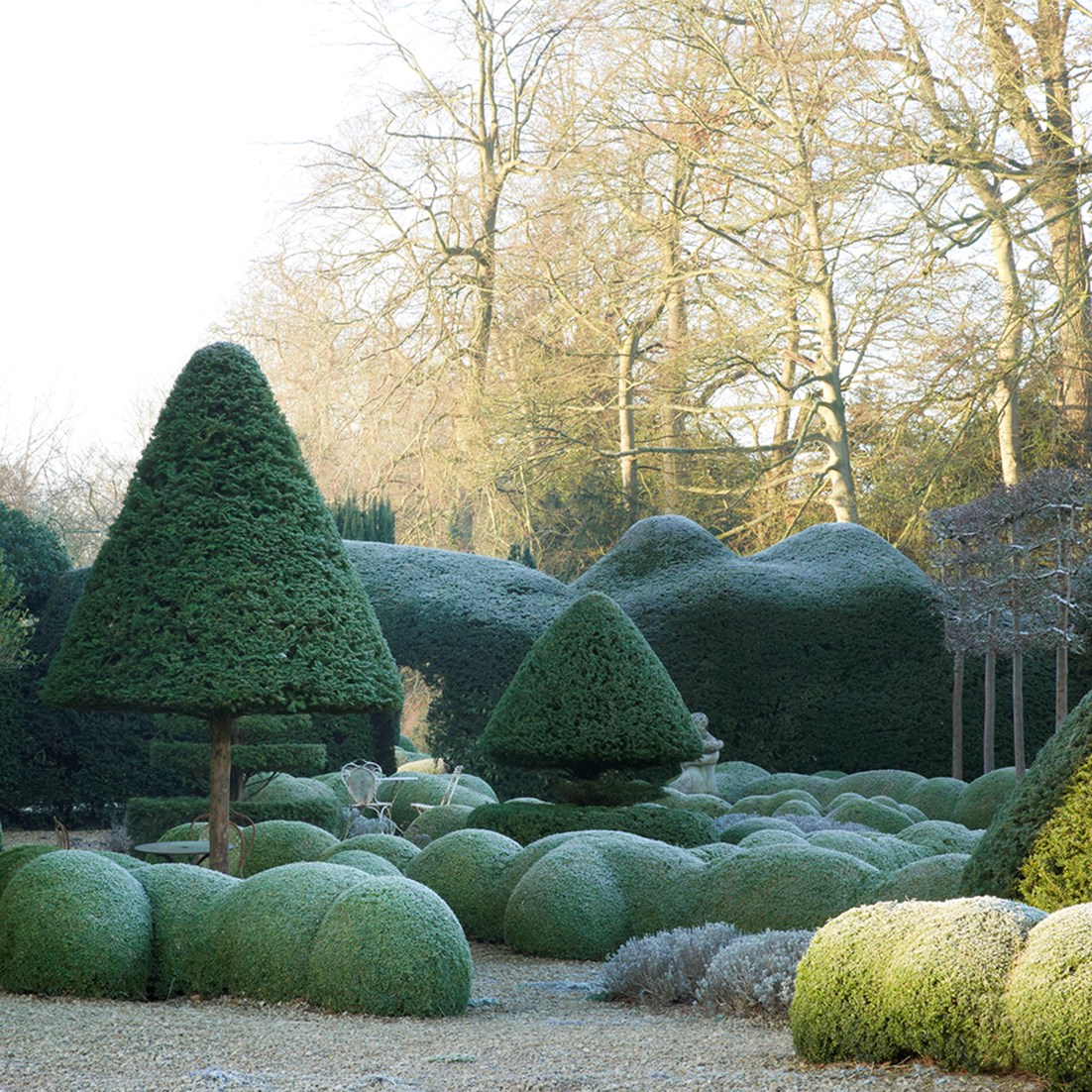 Arne Maynard — image 1