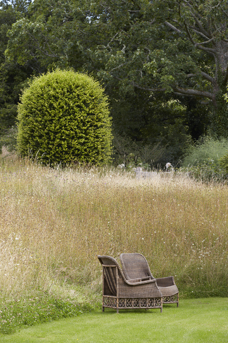 P510 July 2020 N186 Medium