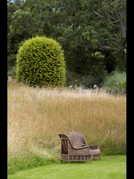 P510 July 2020 N186 Medium