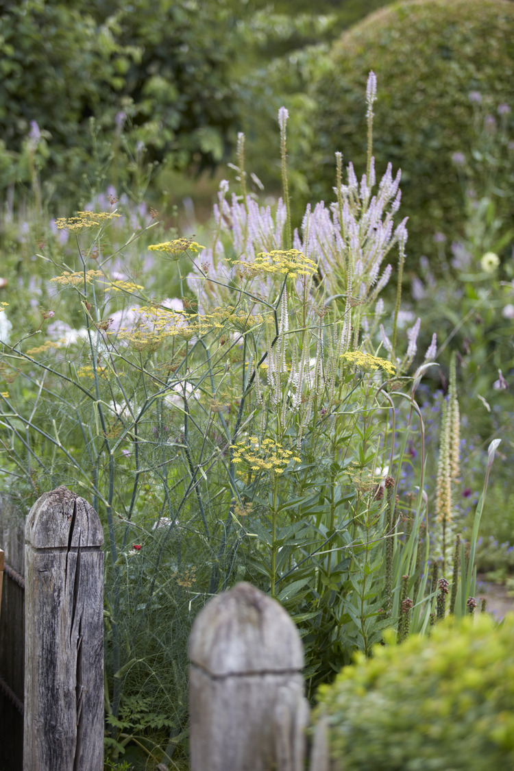 P510 July 2020 N307 Medium