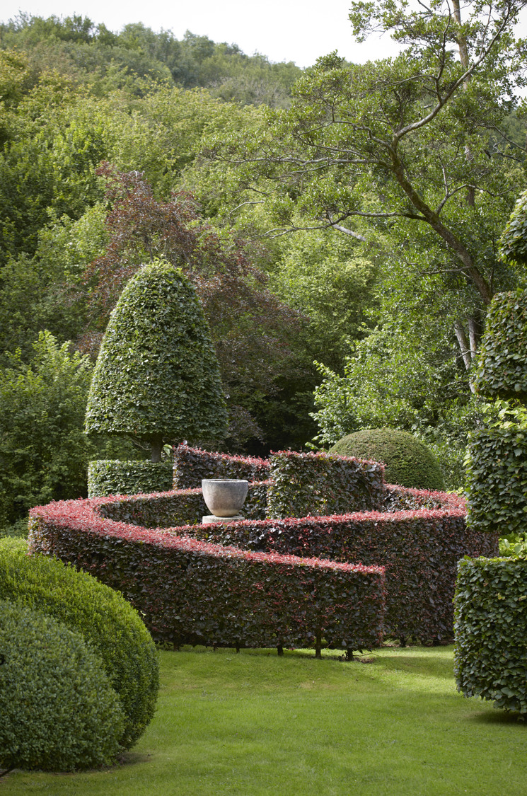 P510 July 2020 N182 Medium