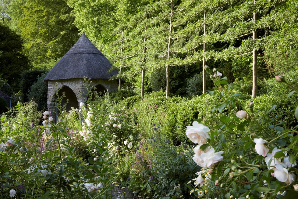 IMG 2759Photography By Britt Willoughby Dyer ©