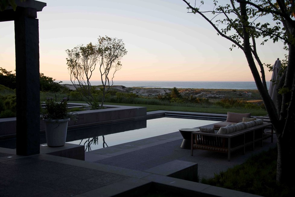 P577 Tyson Lane William Collinson N15 Medium