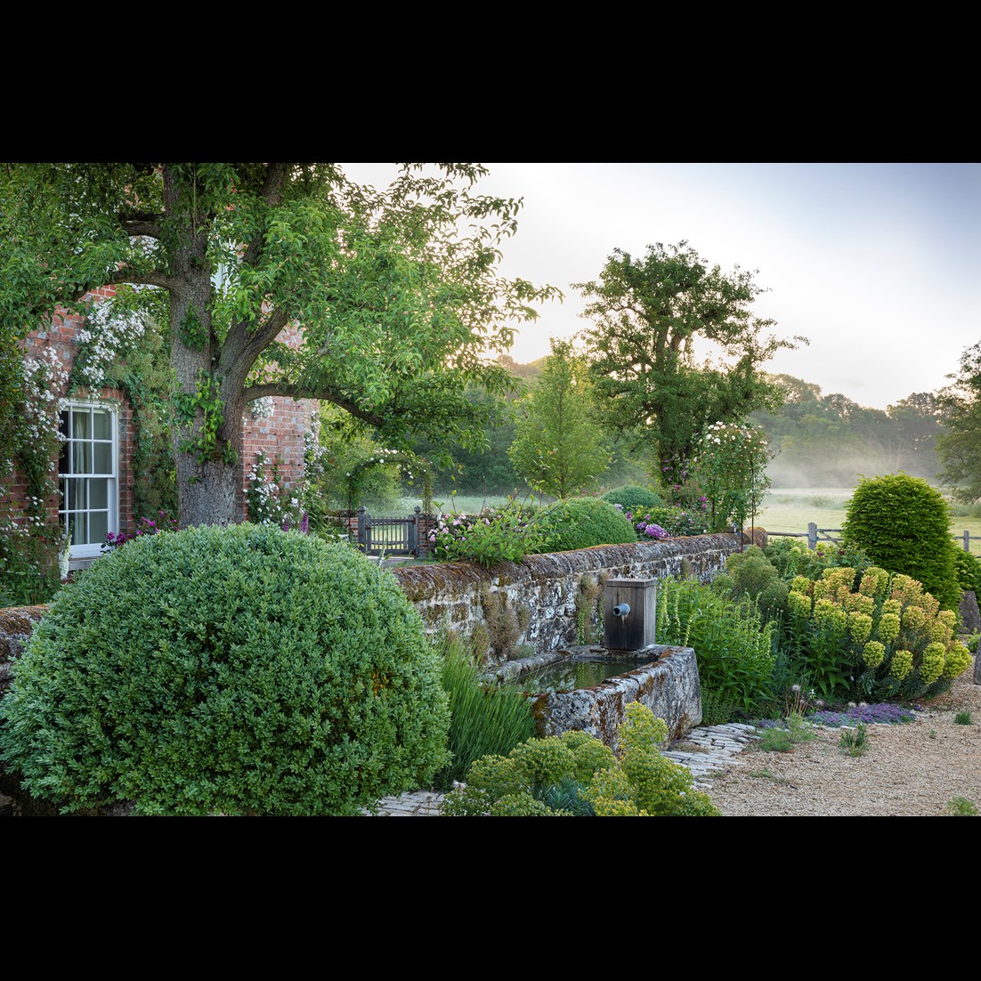 Arne Maynard — image 2
