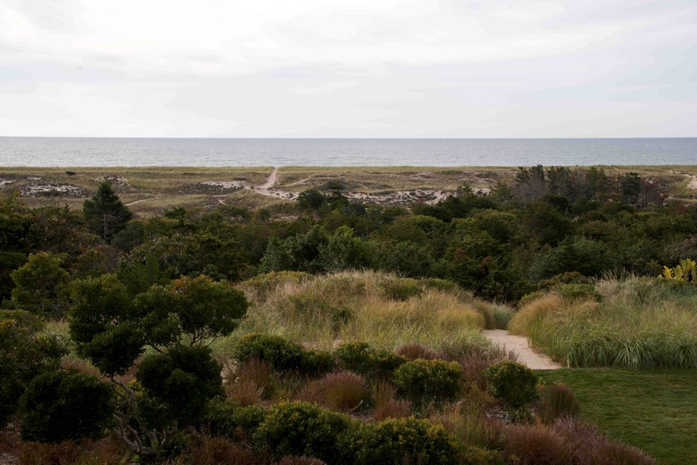 P577 Tyson Lane William Collinson N7 Medium