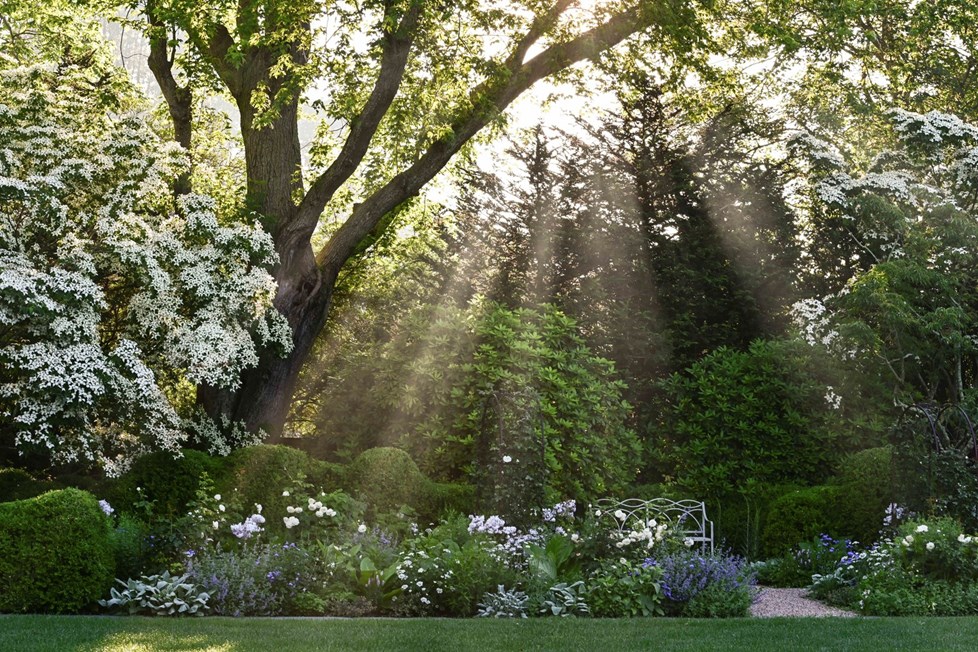 P664 18Leeave WC June2019 N210 Medium