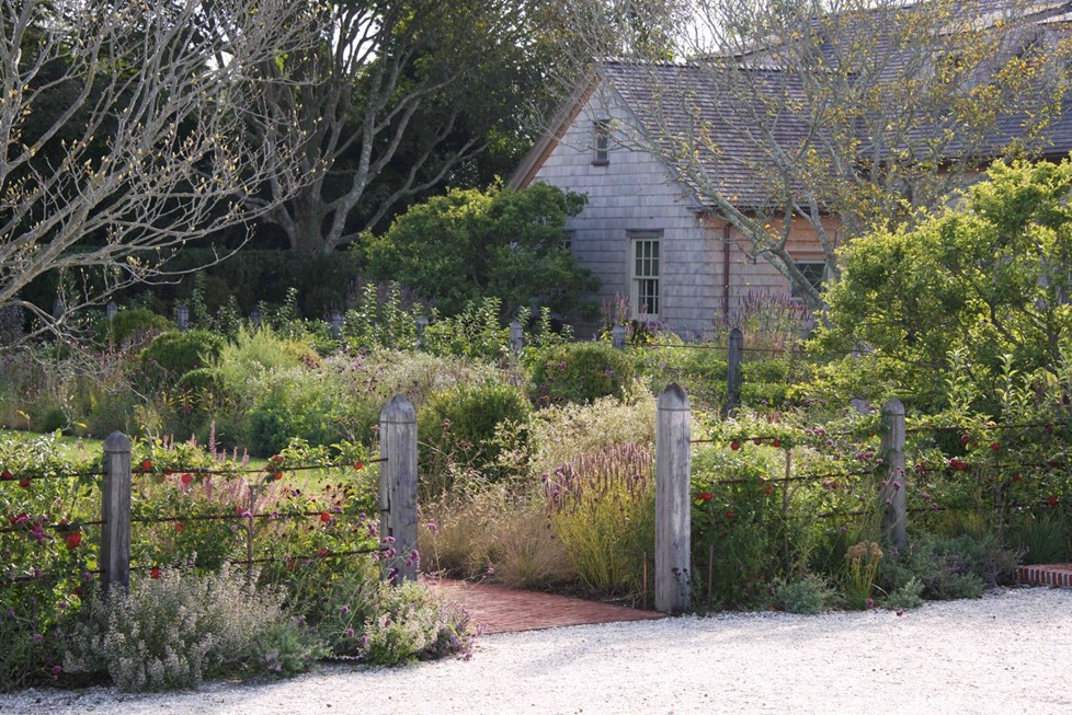 P577 Tyson Lane William Collinson N12 Medium