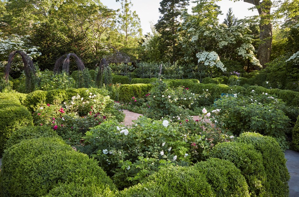 P664 Ngoc Minh Ngo N22 Medium